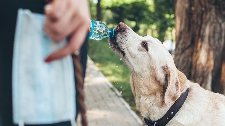 a person drinking a glass of water to stay hydrated