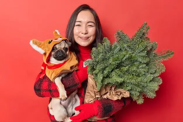 a person holding a guinea pig