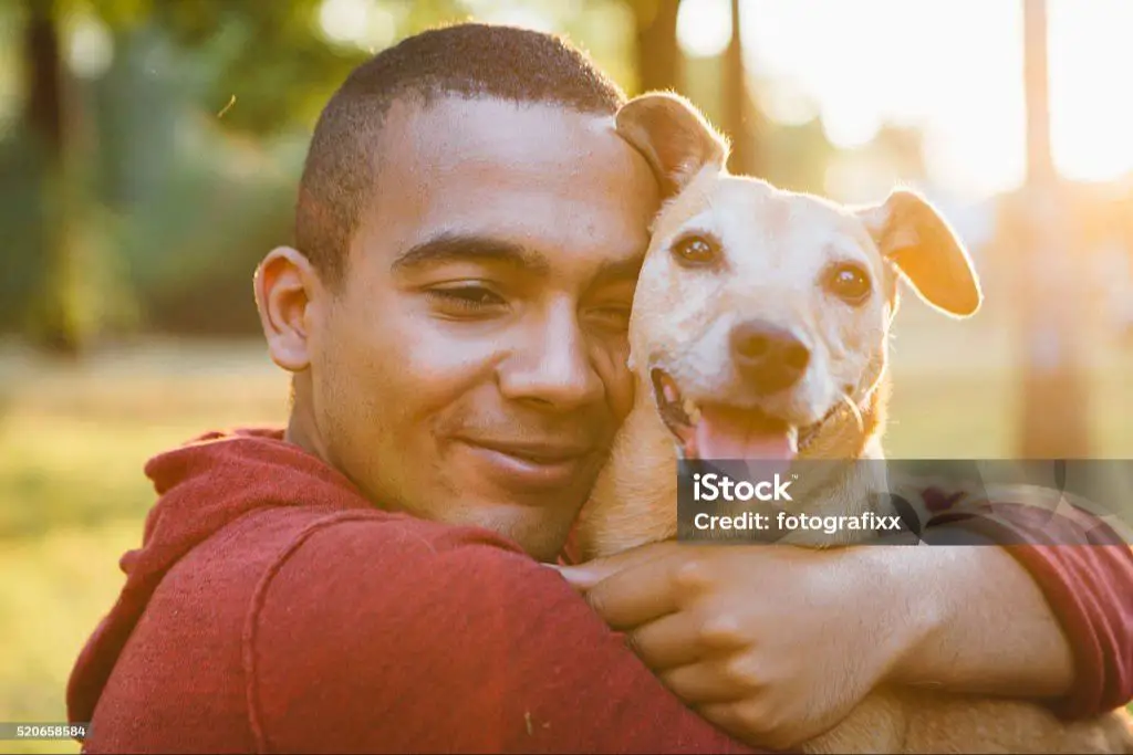 a person hugging a mixed breed dog.