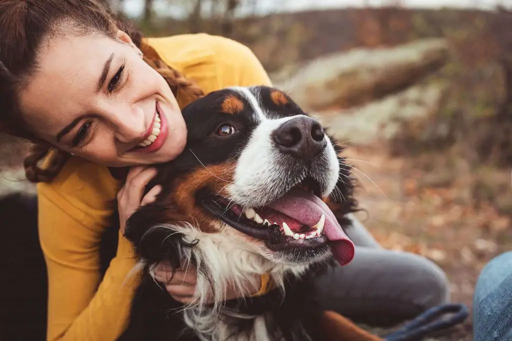 a person hugging their dog at the end of a hike