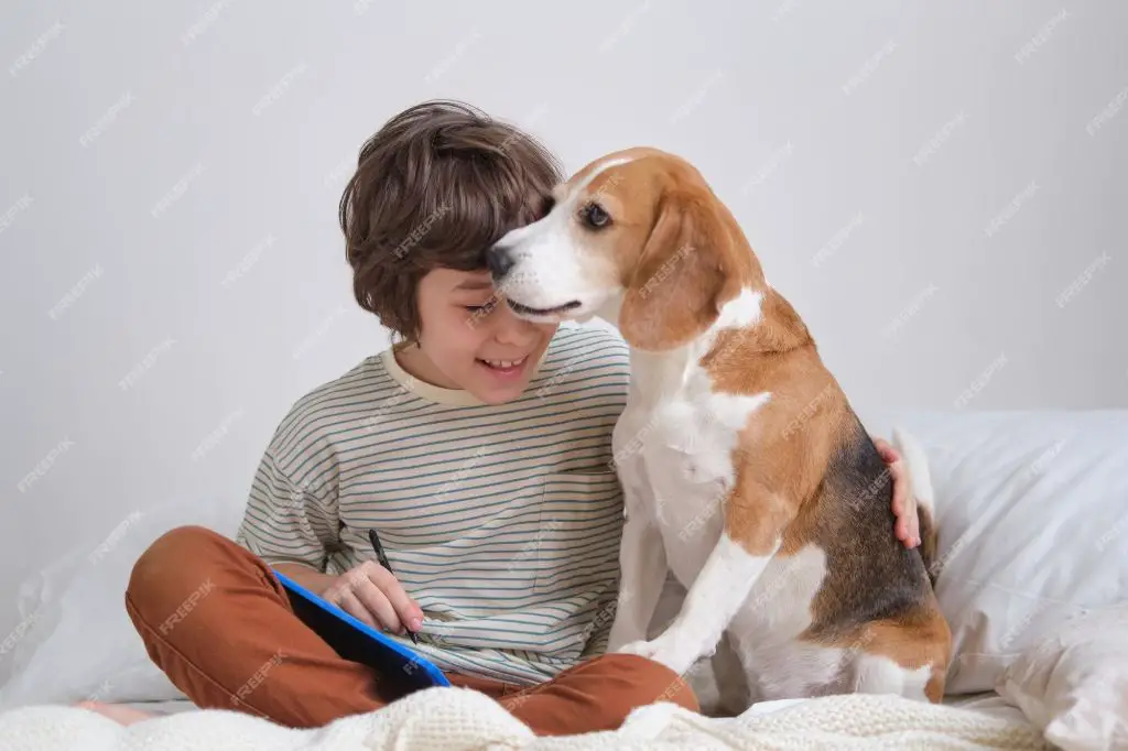 a person hugging their dog on a couch to show the affectionate bond between pet dogs and their owners.