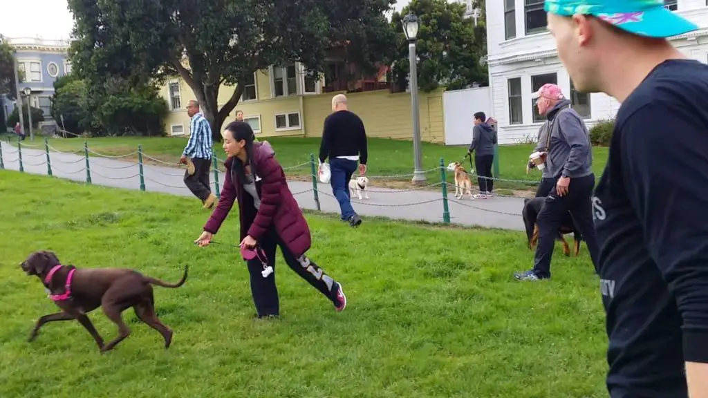 a person kicking towards an aggressive dog