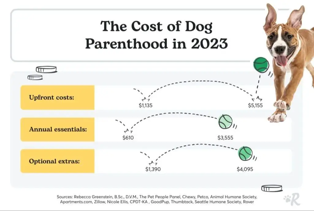 a person makes a list of initial dog ownership costs like adoption fees, supplies, and vet visits.