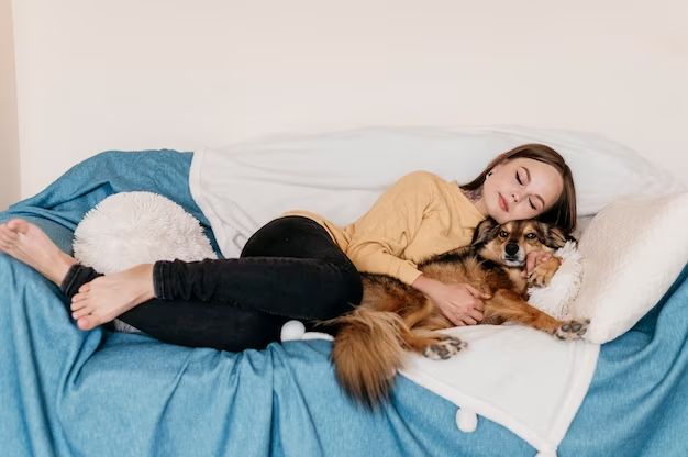 a person petting a dog in bed