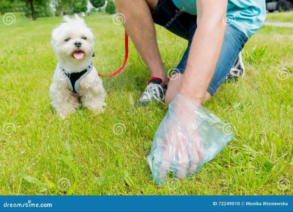 a person picking up dog poop with a plastic bag