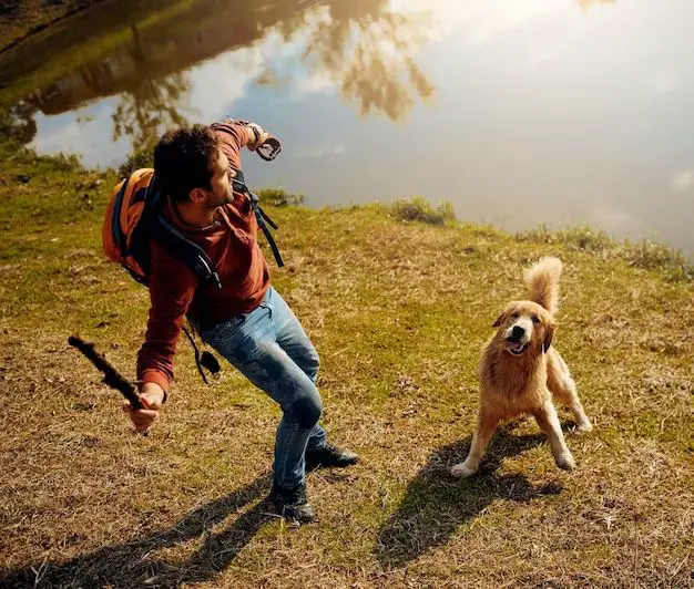 a person playing fetch with a dog at the edge of a lake