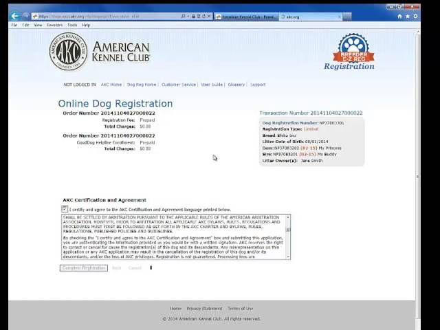 a person reviewing akc registration paperwork.