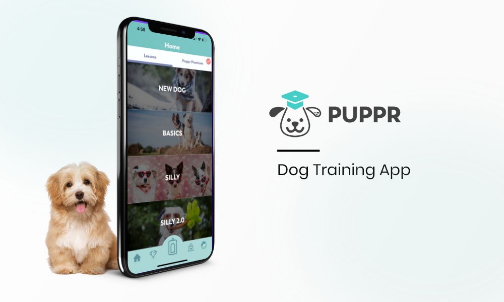 a person uses the puppr app to access a customize training plan for their dog, benefiting from premium features without ads.