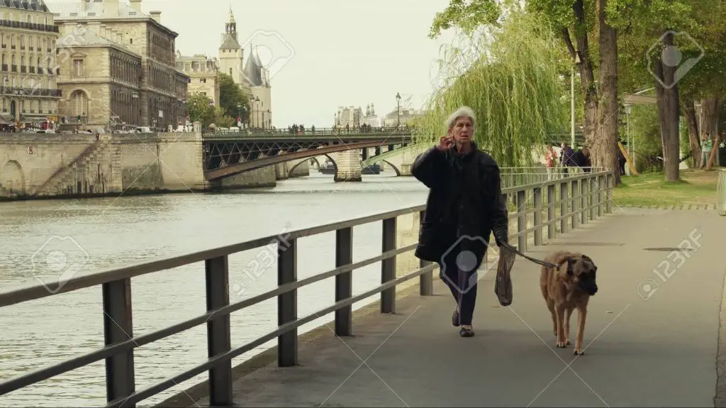 a person walking their dog along the seine river in paris