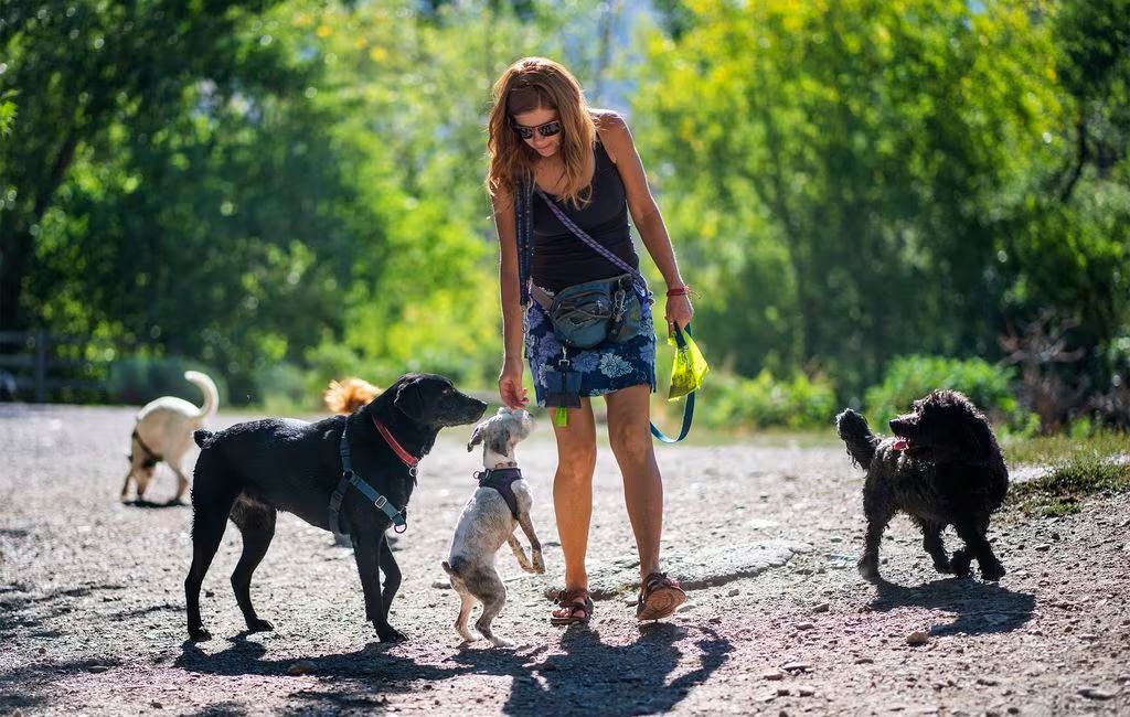 a person walking their dog on a hiking trail near a lake