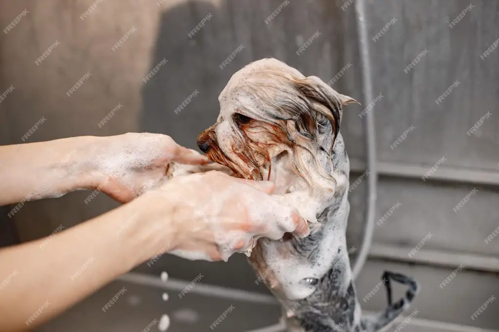 a person washing their hands thoroughly