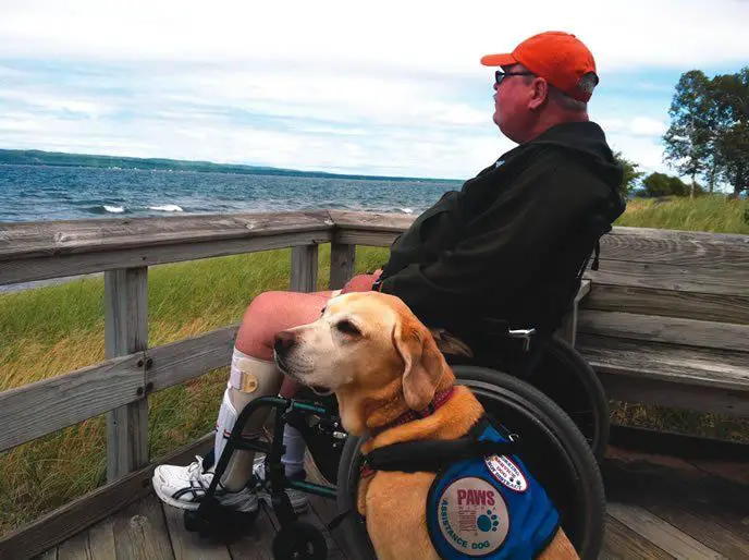 a person with a disability using a service dog in a public place