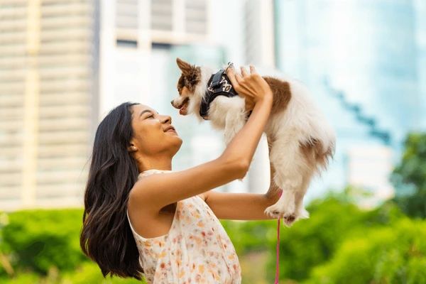 a photo of a happy dog owner playing with their pet