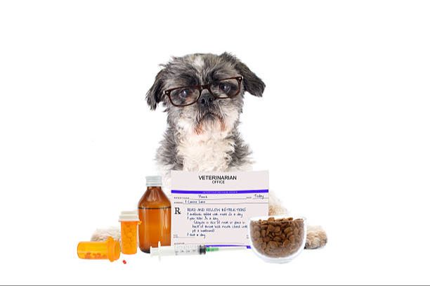 a picture of dog medication bottles