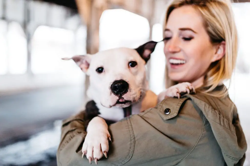 a pitbull being pet affectionately by a smiling woman