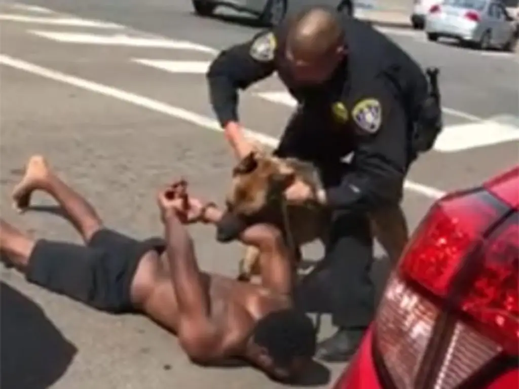 a police officer handcuffing a suspect