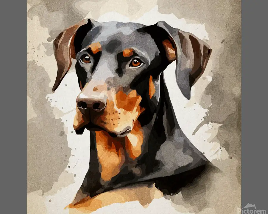 a regal tan and black doberman pinscher sits gracefully on a path, its posture upright and attentive as it gazes ahead.