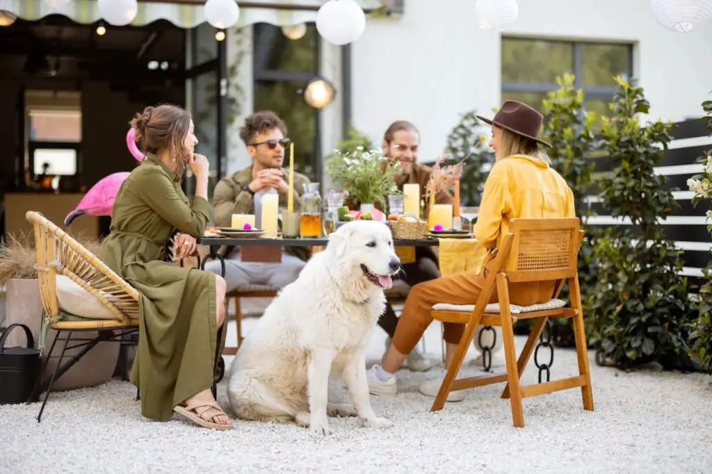 a sign reading 'dogs welcome on patio' in front of an outdoor restaurant seating area.