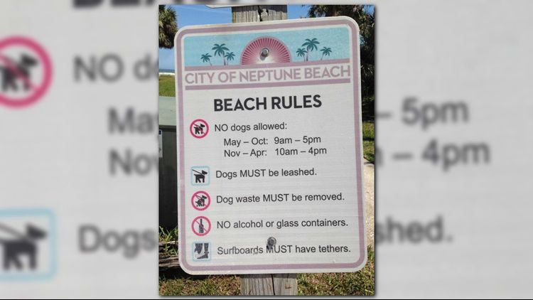 a sign showing dog beach rules and regulations.