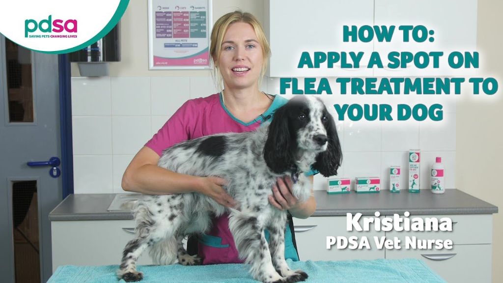 a vet administering flea medication to a dog