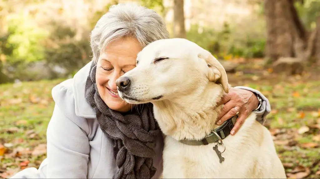 a vet compassionately comforting an elderly labrador and owner before euthanasia