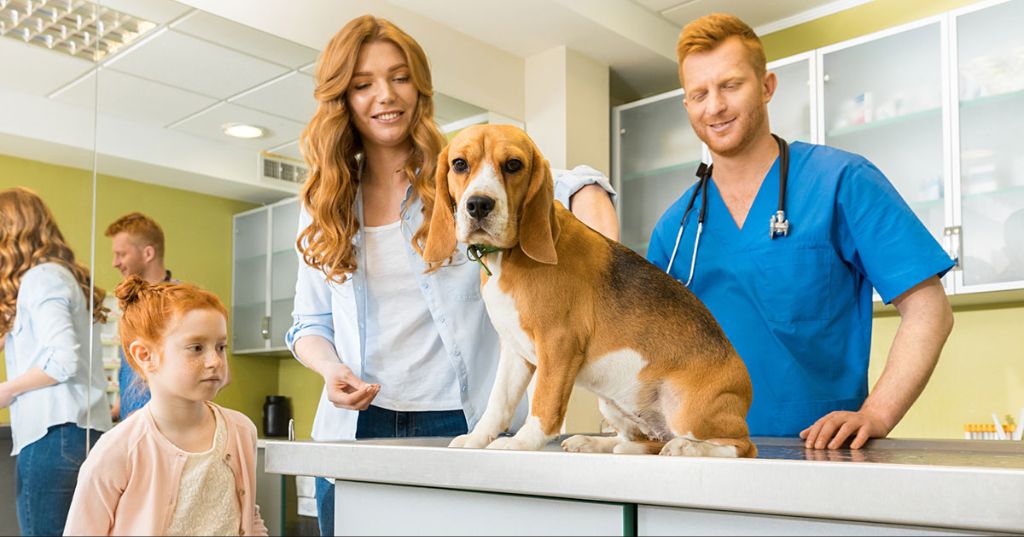 a vet exam room with an owner and their dog during a first visit appointment after adoption.