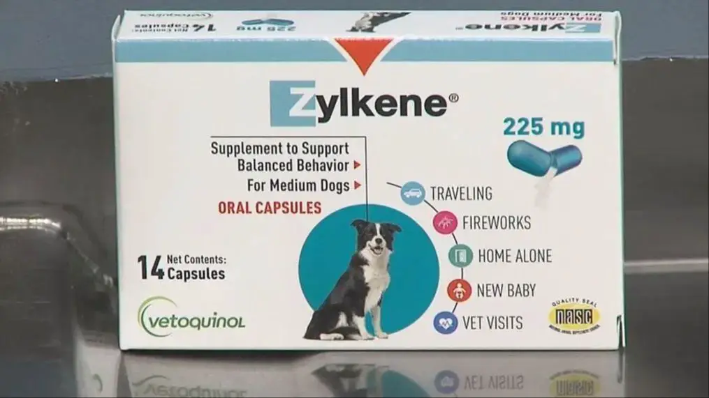 a vet prescribing xanax for a dog's noise phobia.