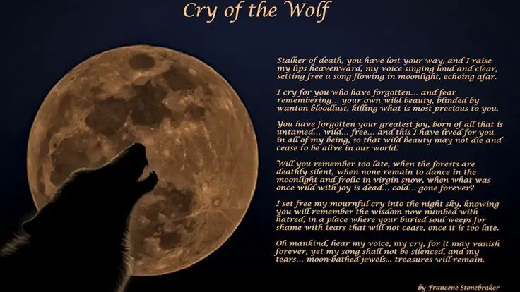 a wolf howls at the full moon, its mournful cry echoing through the forested wilderness.