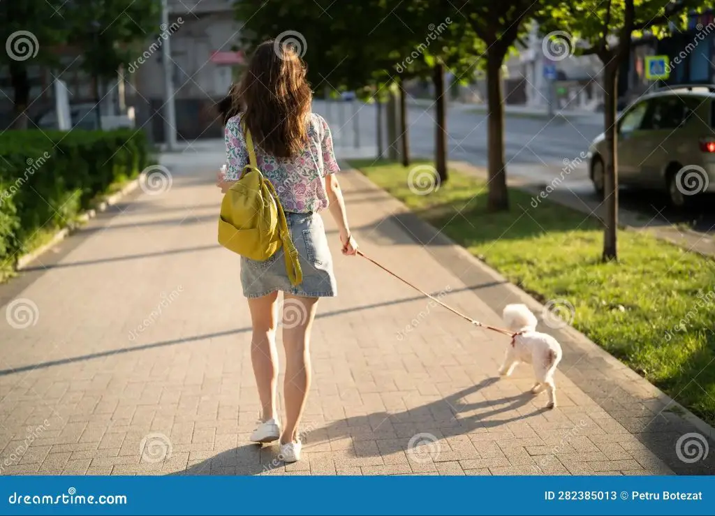 a woman walking a small fluffy bichon frise dog on the streets of paris