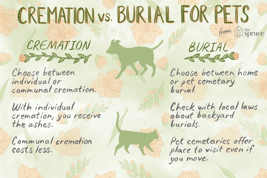 actions to take for pet burial