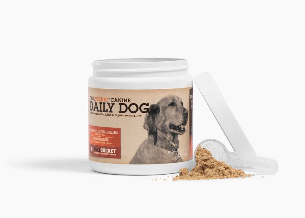adding probiotic powder to a dog's food