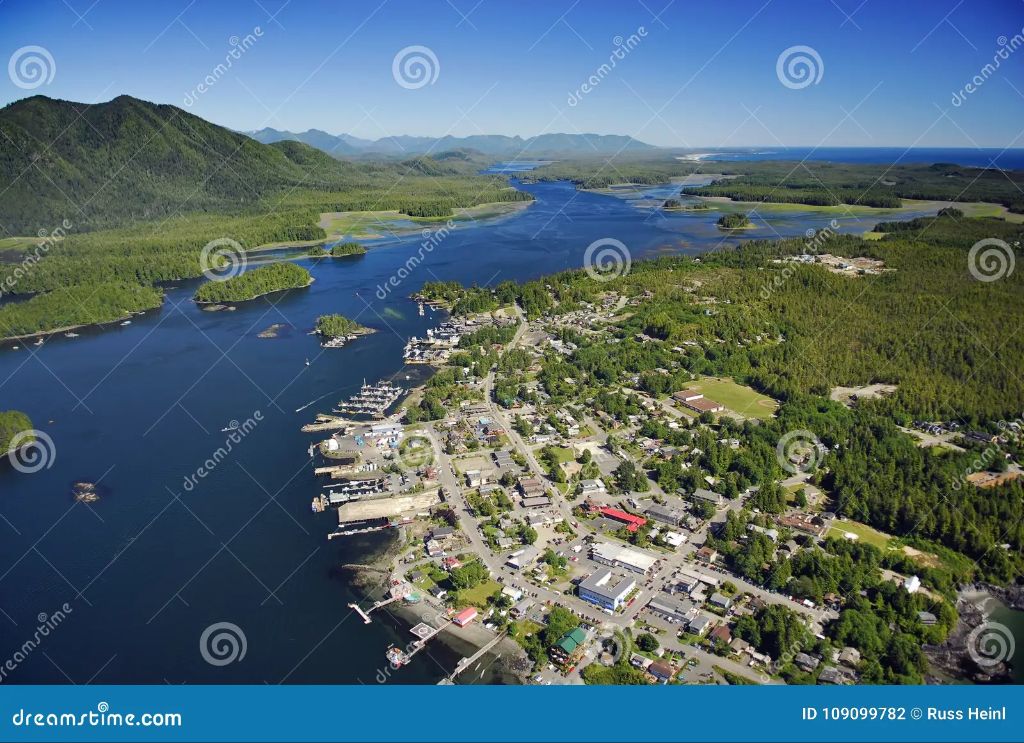 aerial view of tofino on vancouver island