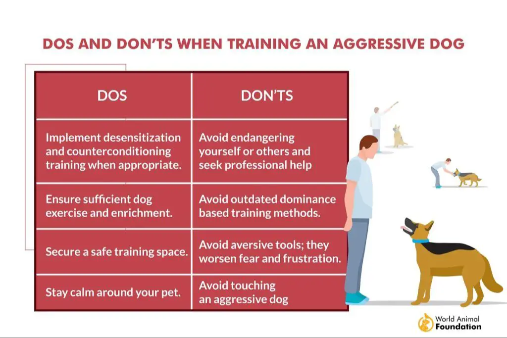 aggression triggers in dogs can often be managed with proper training and precautions