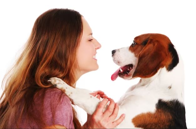 allowing kisses can reinforce unwanted behavior in dogs