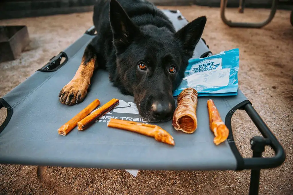 alternatives to bully sticks