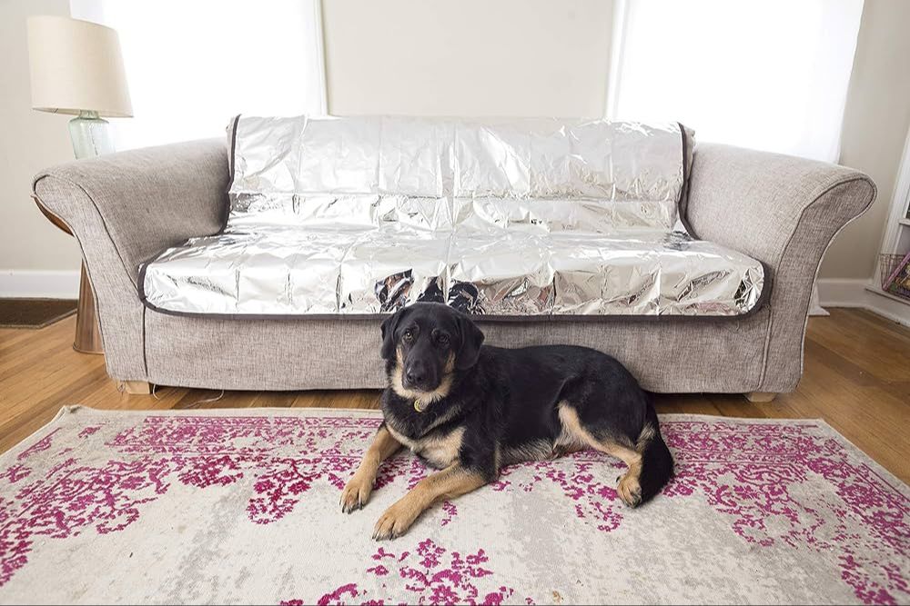 aluminum foil covering a couch to deter dogs