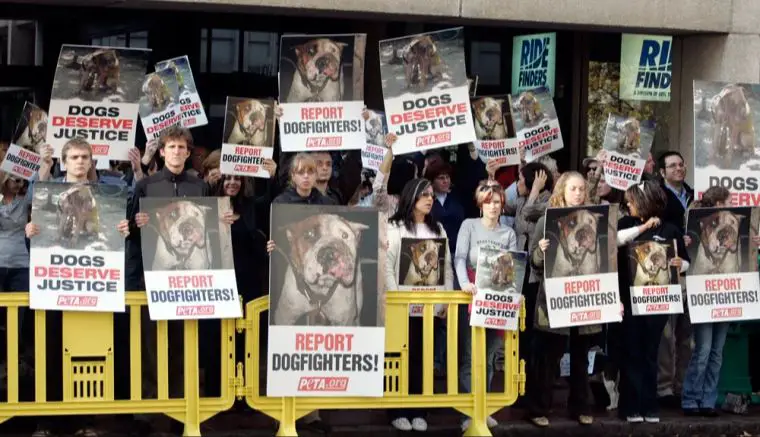 an activist protesting against the cruelty of dogfighting