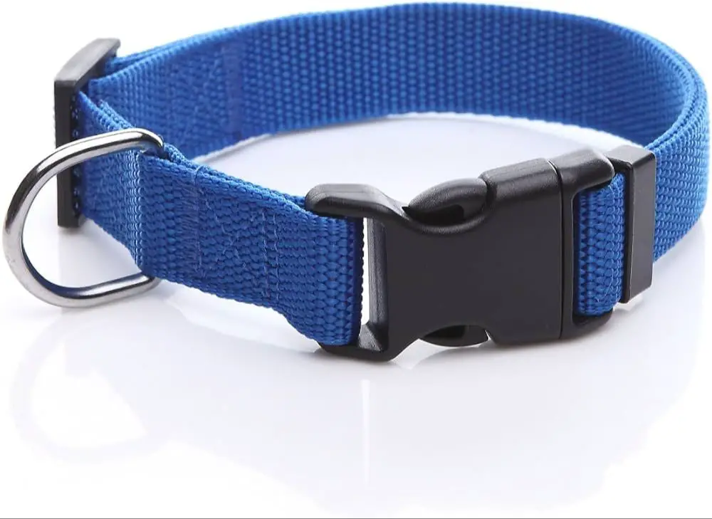 an adjustable nylon dog collar