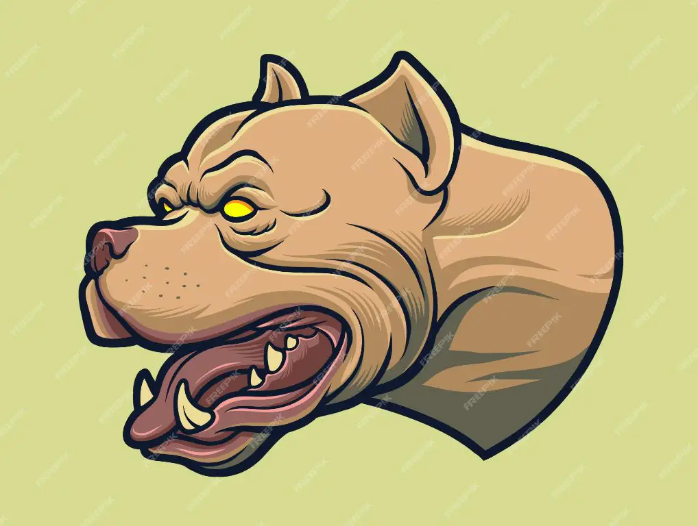 an aggressive pitbull