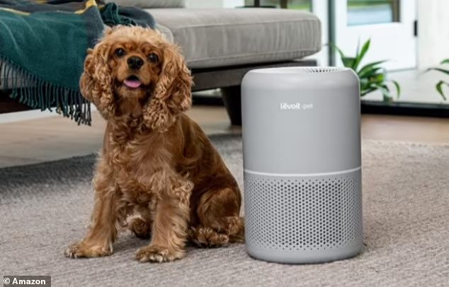 an air purifier filtering out pet dander in a home