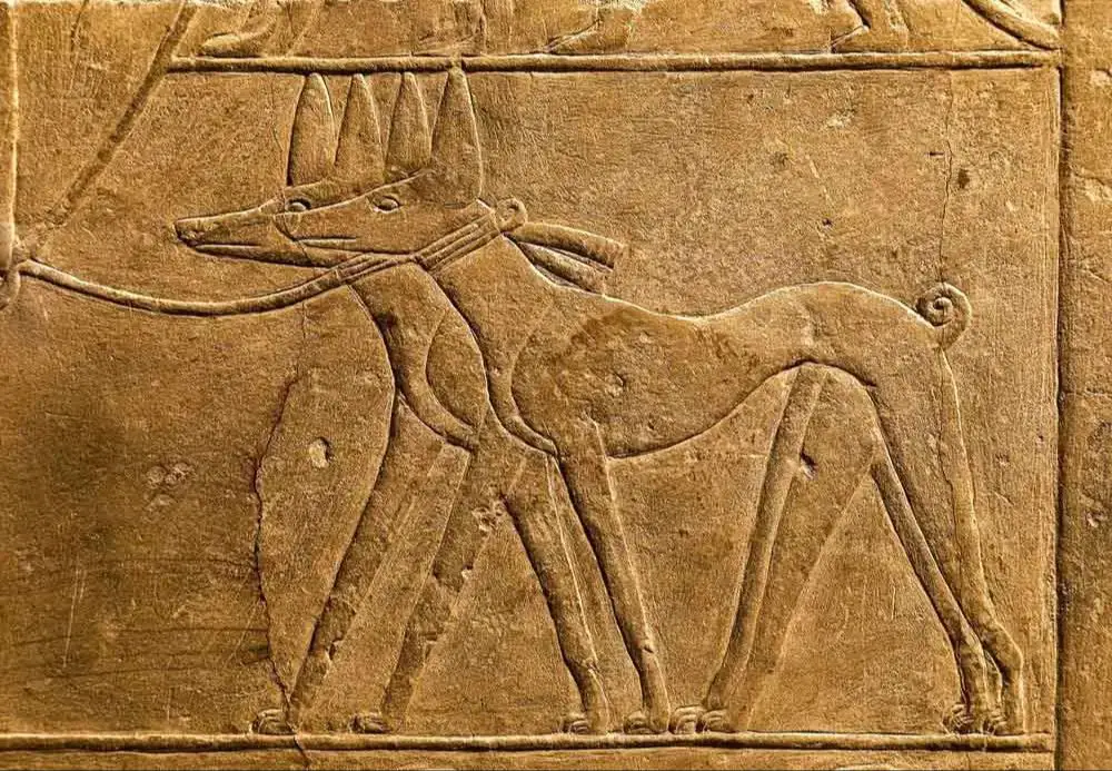 an ancient egyptian hieroglyphic depicting a man walking his dog on a leash