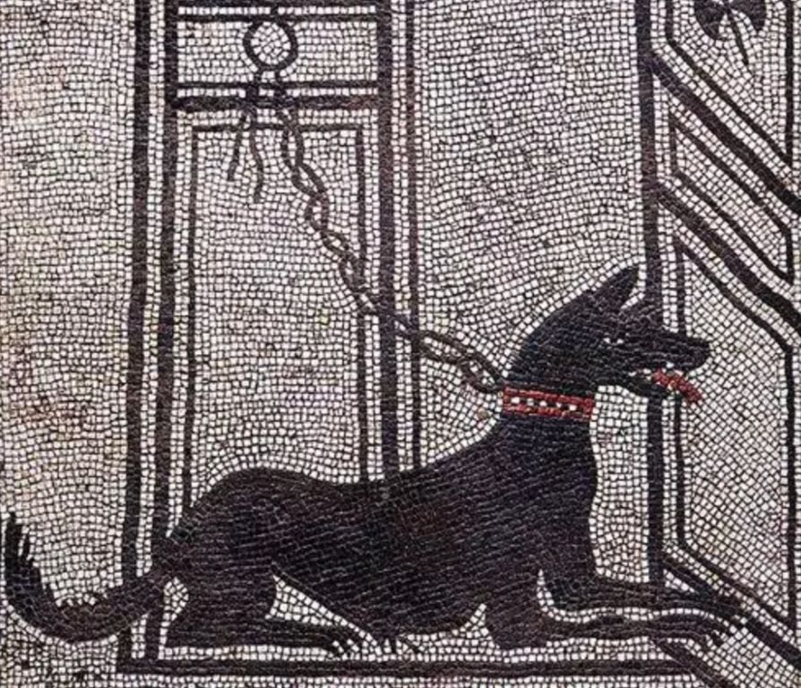 an ancient greek dog wearing a metal collar