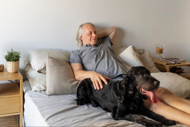 an elderly dog sitting comfortably on a well-padded orthopedic bed.