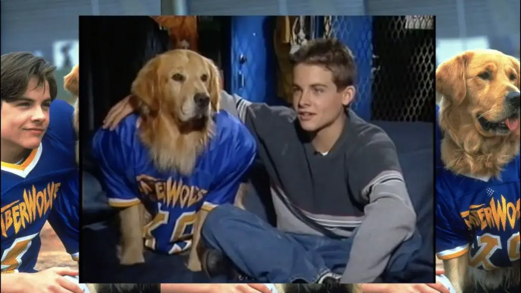 an image behind the scenes of air bud