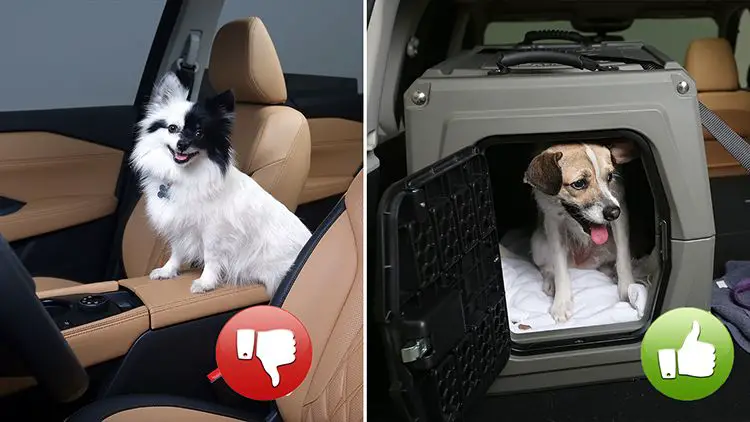 an image of a dog sitting inside a secured crate in the back of an suv