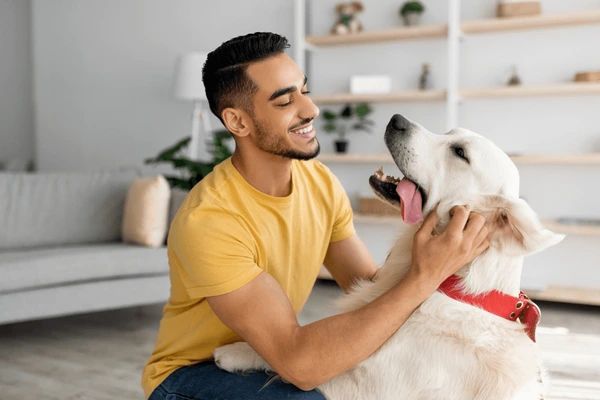 an image of dogs and humans living happily together