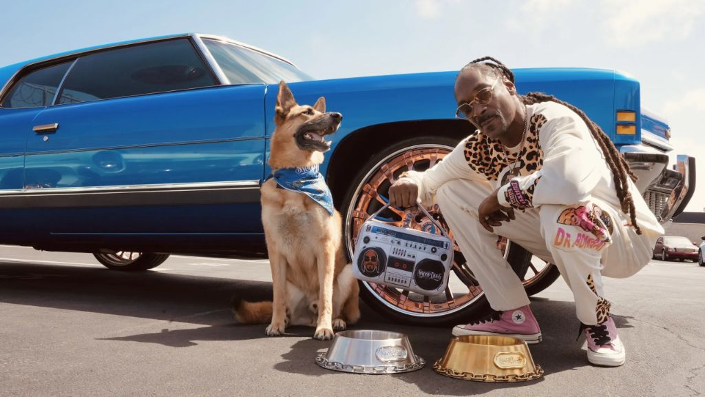 an image of snoop dogg dropping out of long beach city college