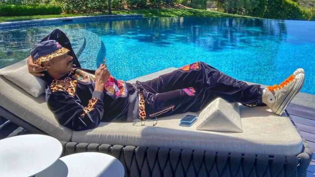 an image of snoop dogg swimming in a pool of cash