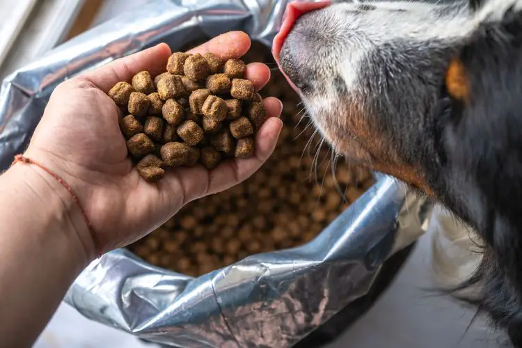 an image of the mars pet food factory where black hawk is produced