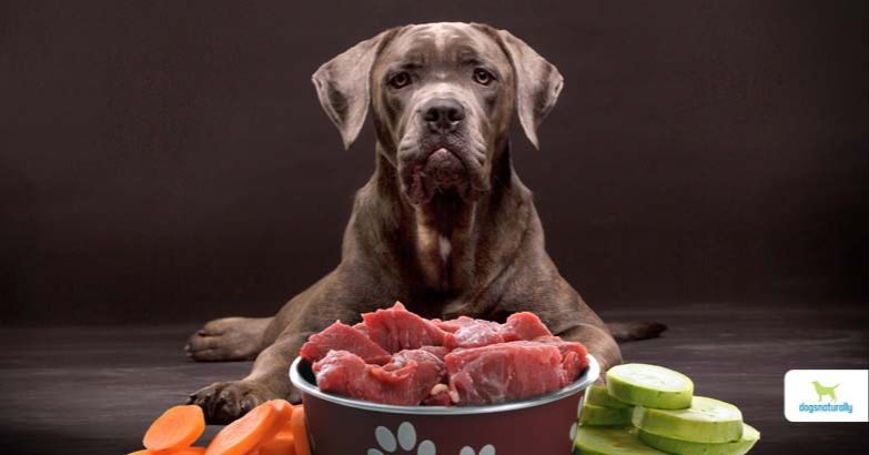 an image showing degradation of dog food over time